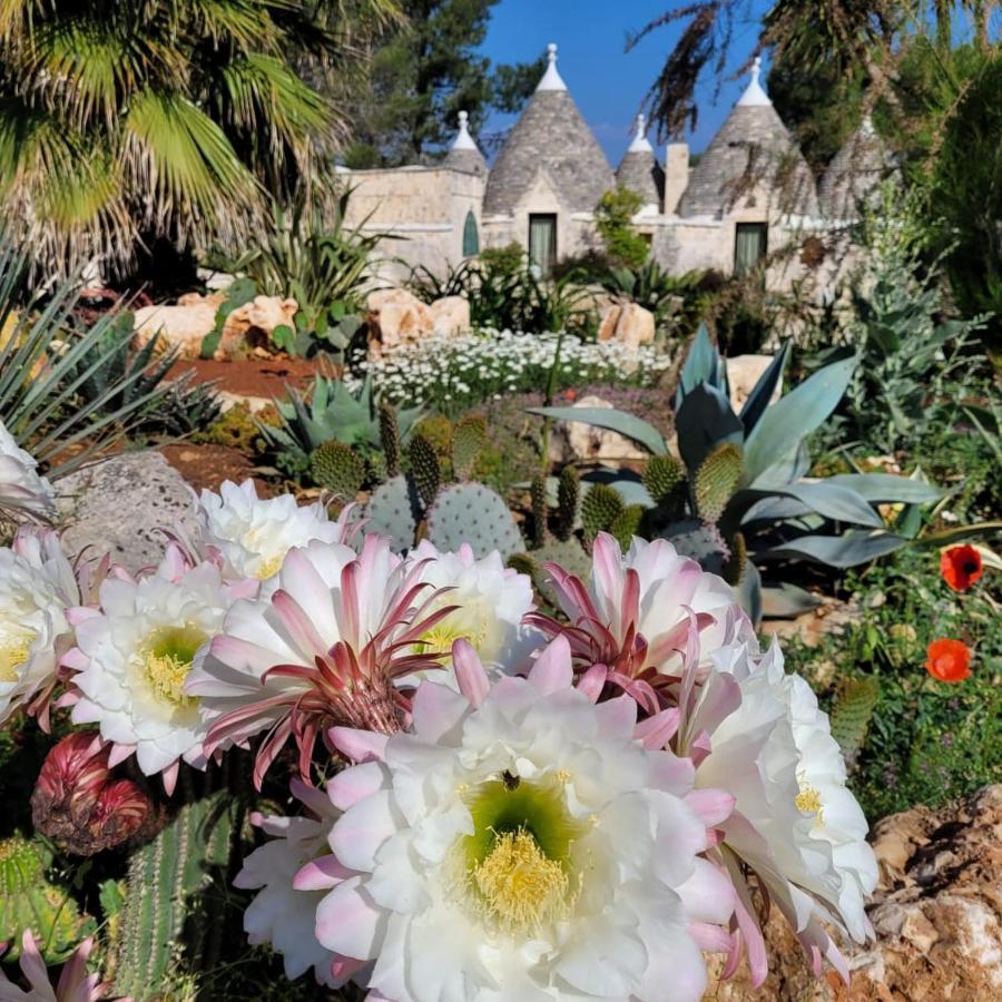 Trullo Bosco Libero Ostuniヴィラ エクステリア 写真
