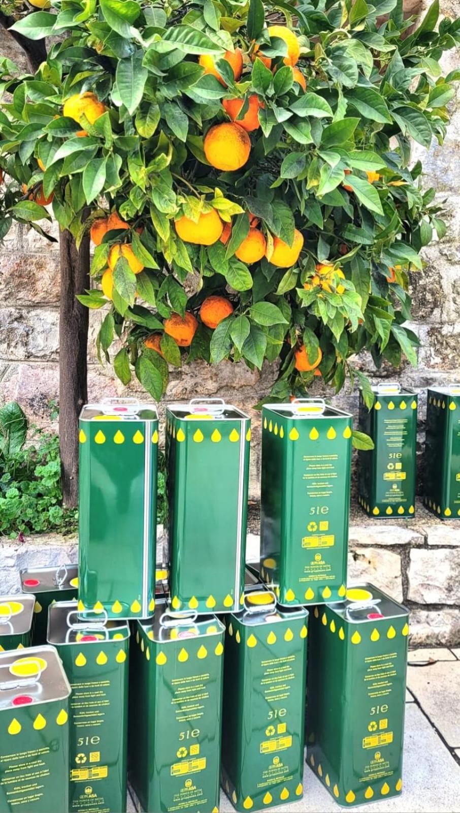 Trullo Bosco Libero Ostuniヴィラ エクステリア 写真