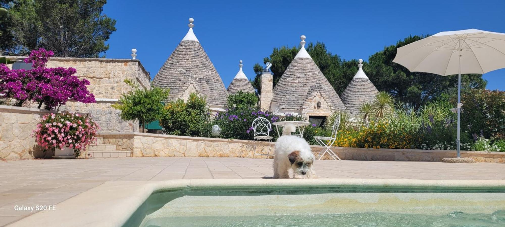 Trullo Bosco Libero Ostuniヴィラ エクステリア 写真