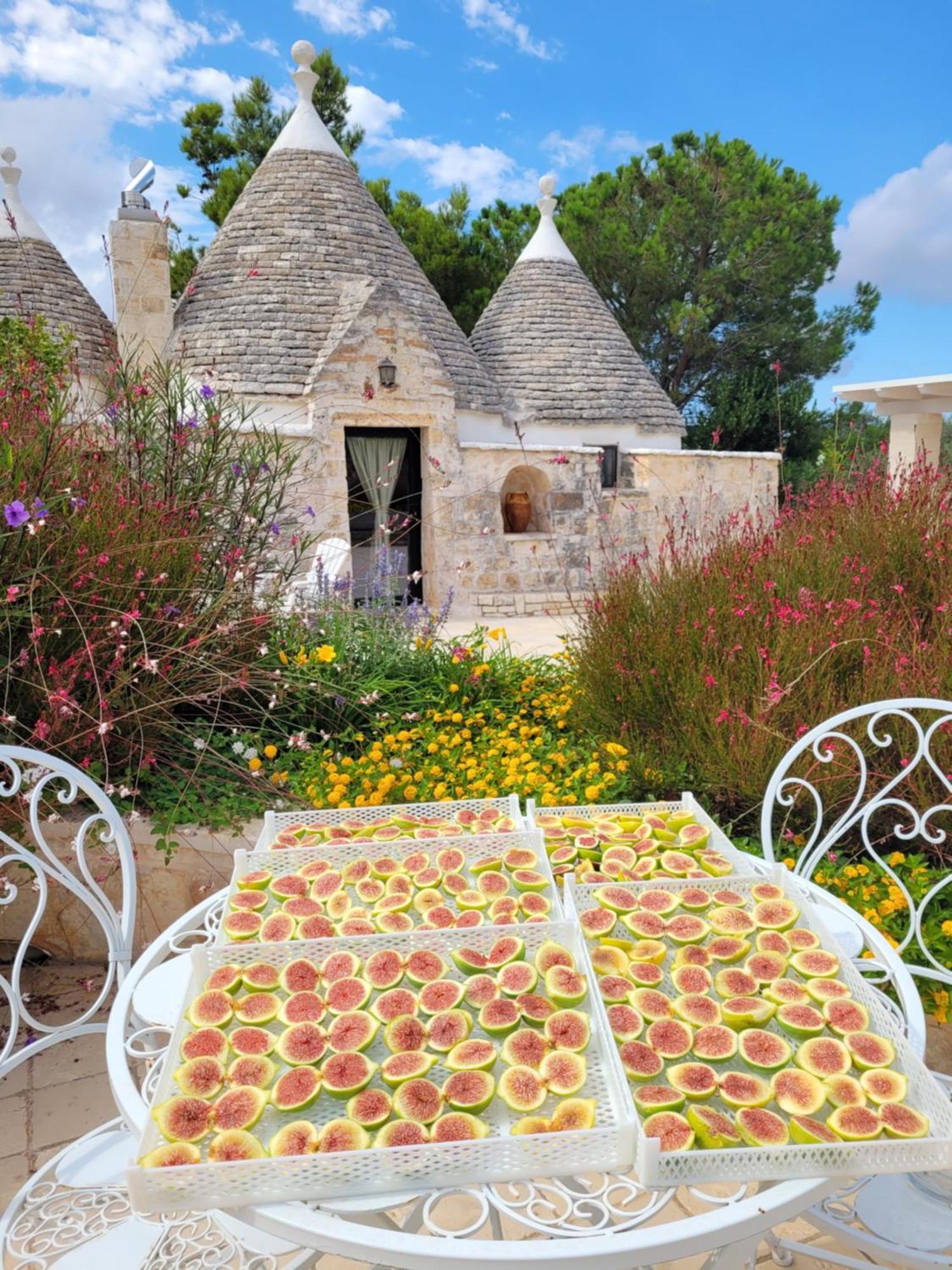 Trullo Bosco Libero Ostuniヴィラ エクステリア 写真