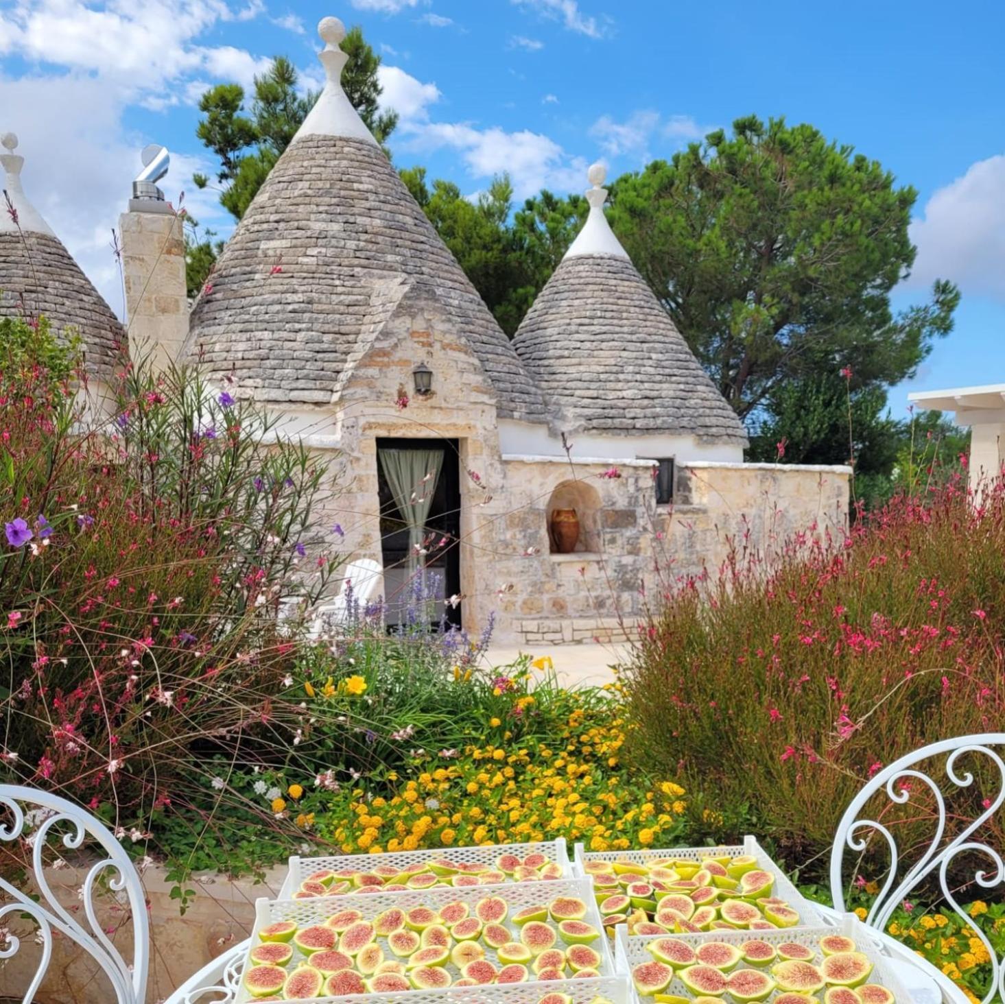 Trullo Bosco Libero Ostuniヴィラ エクステリア 写真