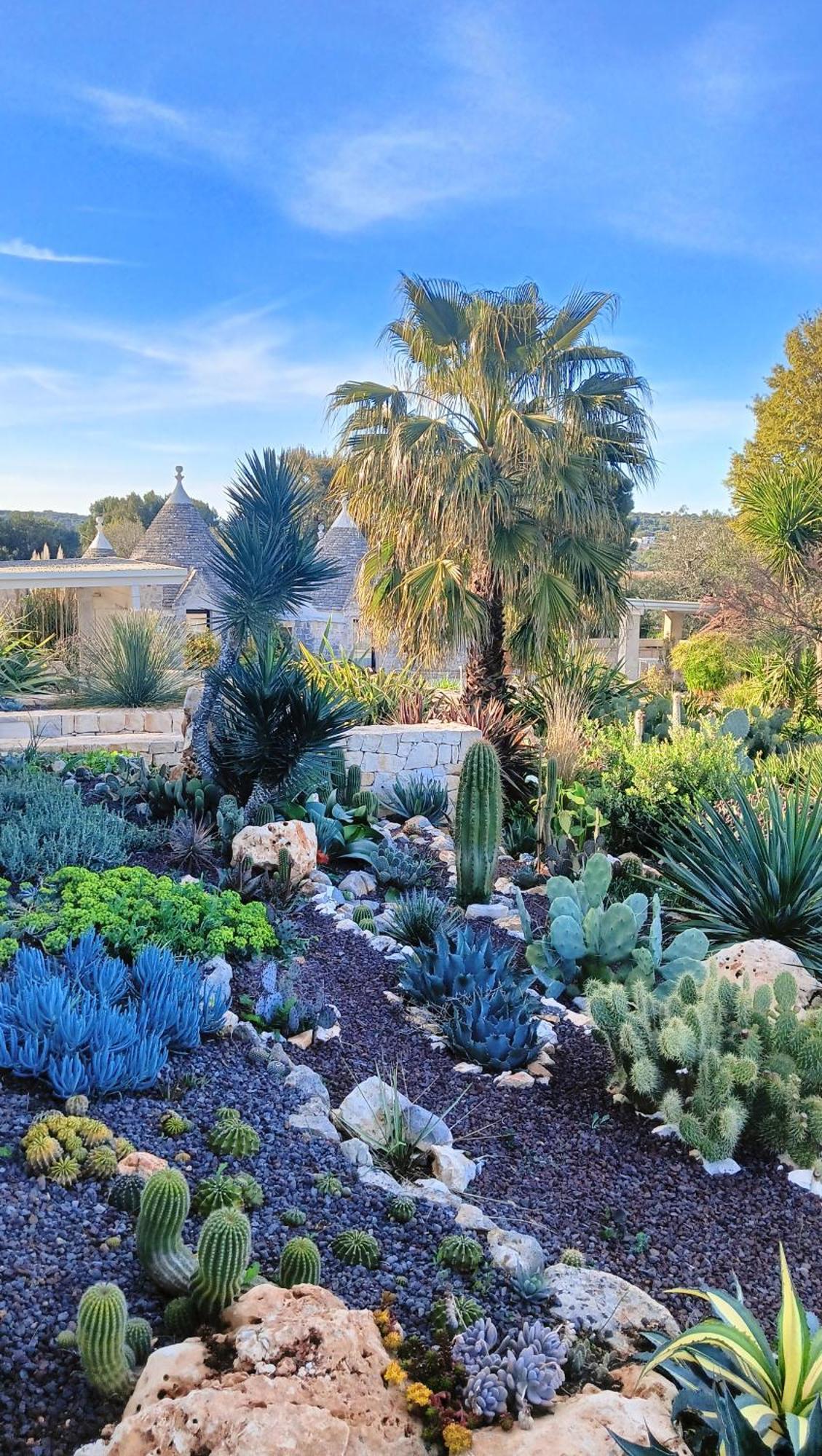Trullo Bosco Libero Ostuniヴィラ エクステリア 写真